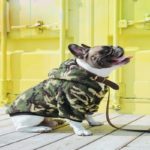 The Dog Face Camo Hundtroja hund