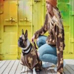 hundtroja teddy brun hund