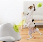 Automatisk Bollkastare Hund